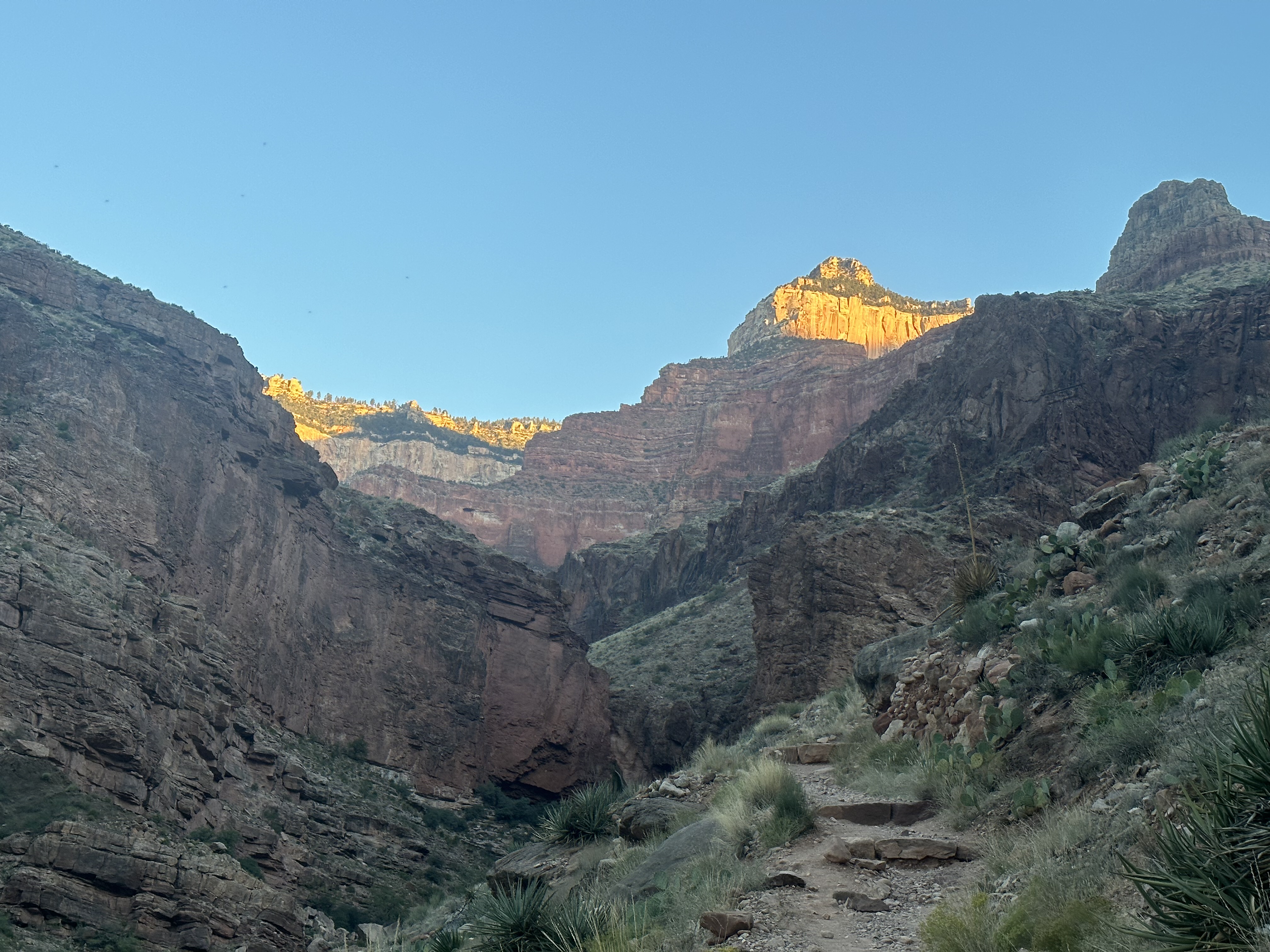 First light on the canyon walls from the trail below the rim