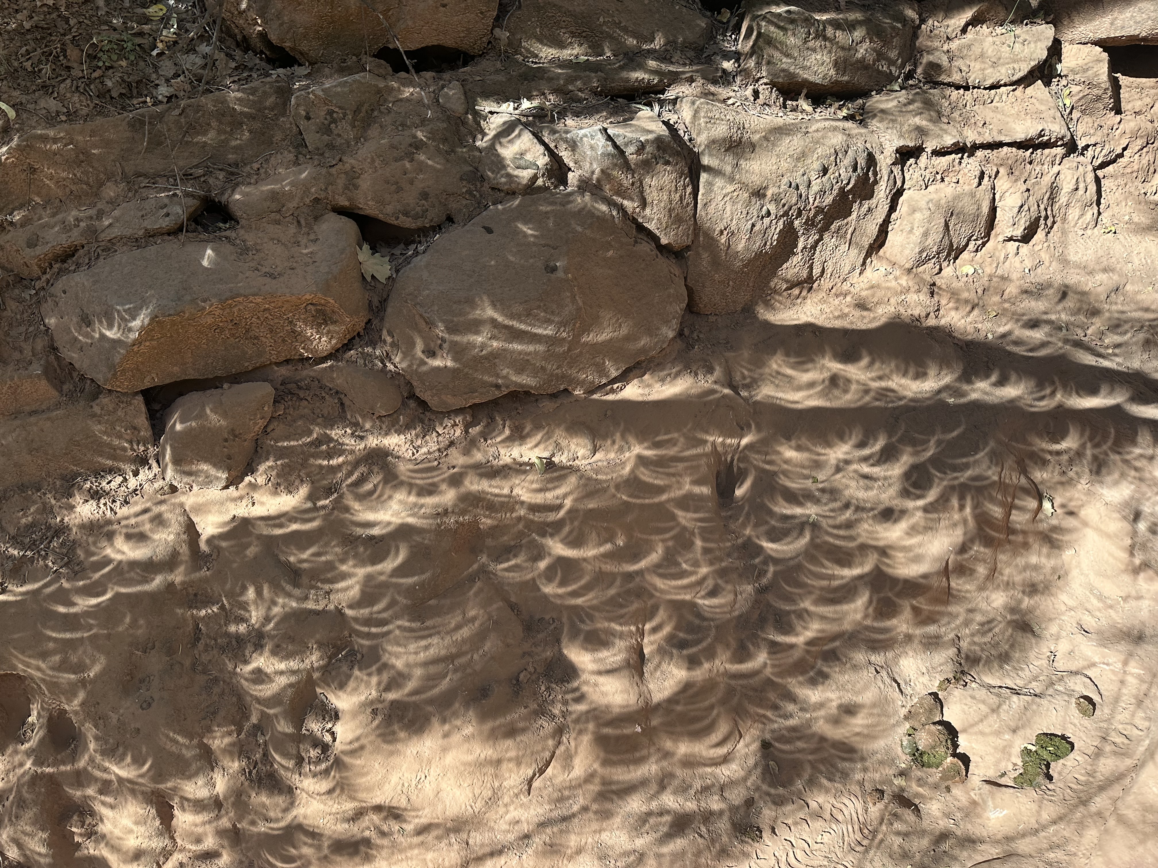 Crescent shadows cast on the rocks during the solar eclipse